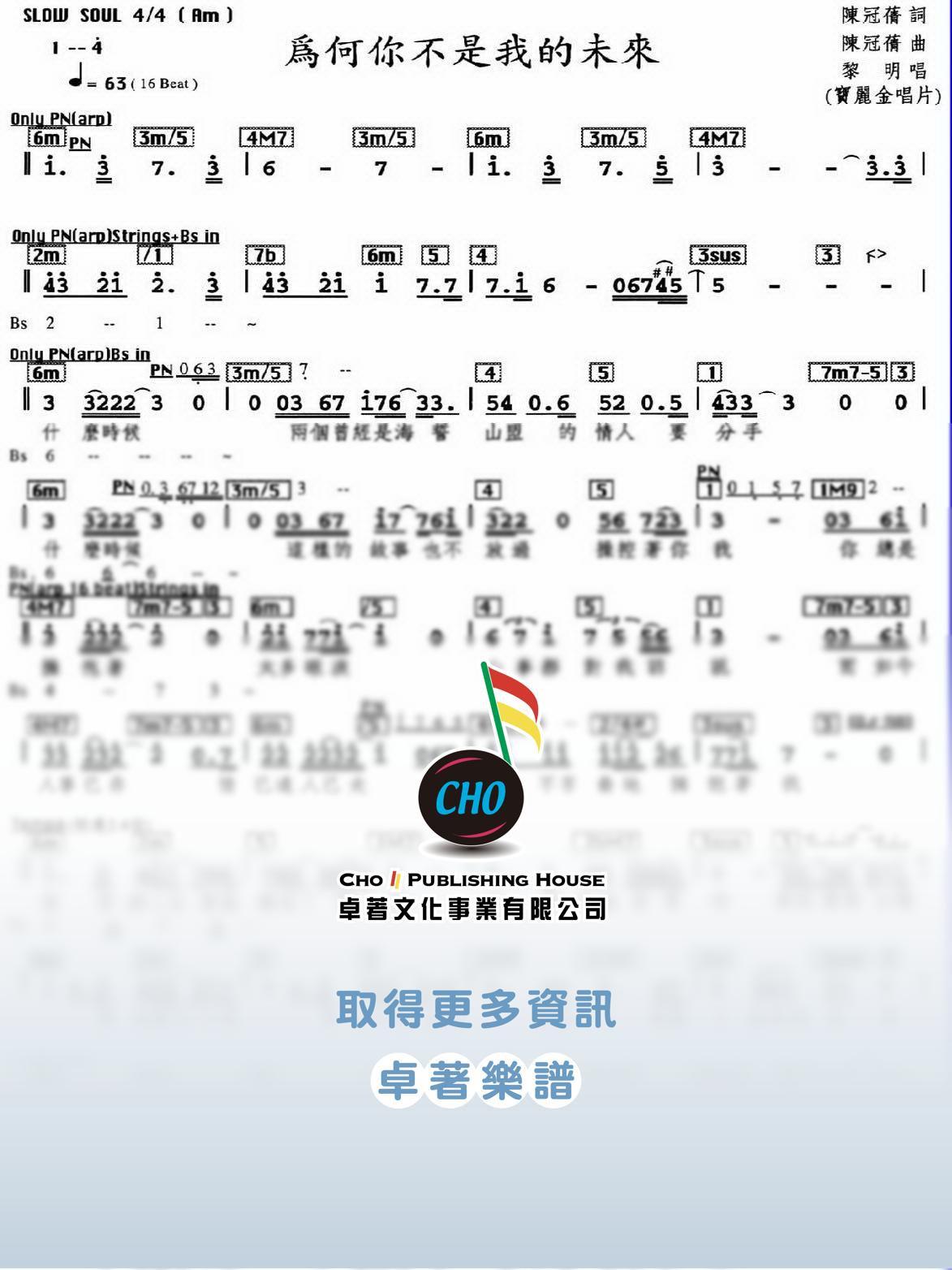 為何你不是我的未來